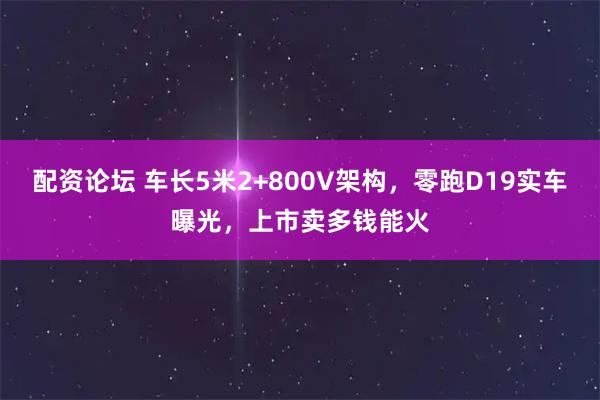 配资论坛 车长5米2+800V架构,零跑D19实车曝光,上市卖多钱能火