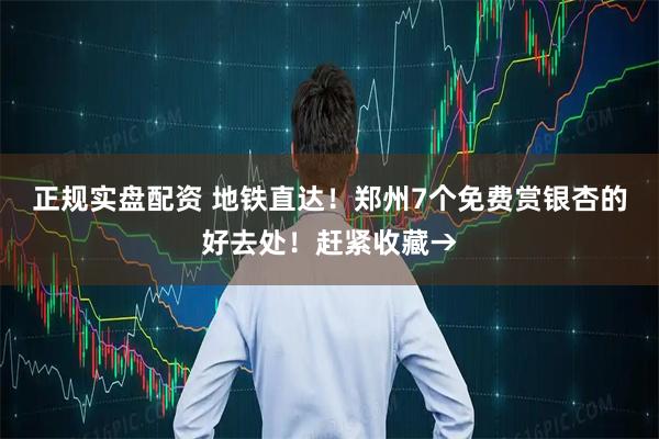 正规实盘配资 地铁直达！郑州7个免费赏银杏的好去处！赶紧收藏→